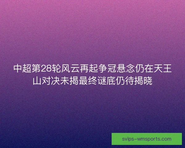 中超第28轮风云再起争冠悬念仍在天王山对决未揭最终谜底仍待揭晓