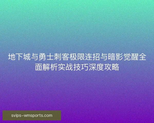 地下城与勇士刺客极限连招与暗影觉醒全面解析实战技巧深度攻略