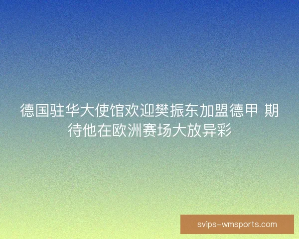 德国驻华大使馆欢迎樊振东加盟德甲 期待他在欧洲赛场大放异彩